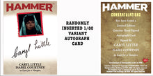 Load image into Gallery viewer, Hammer Horror Platinum Collection

